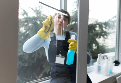 Nettoyage de vitres intérieures et extérieures à Lisses